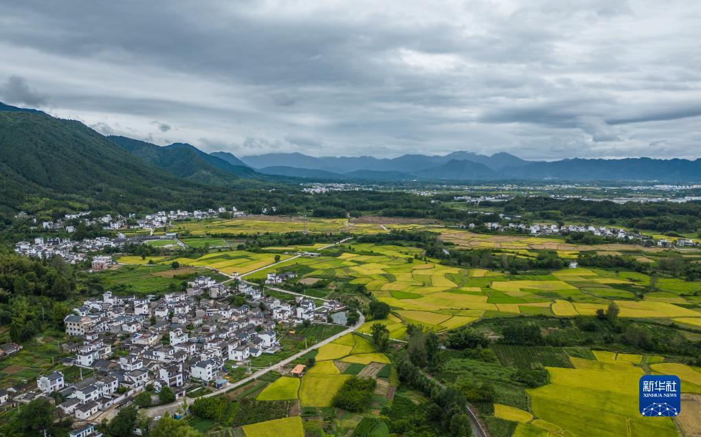 皇冠注册账号